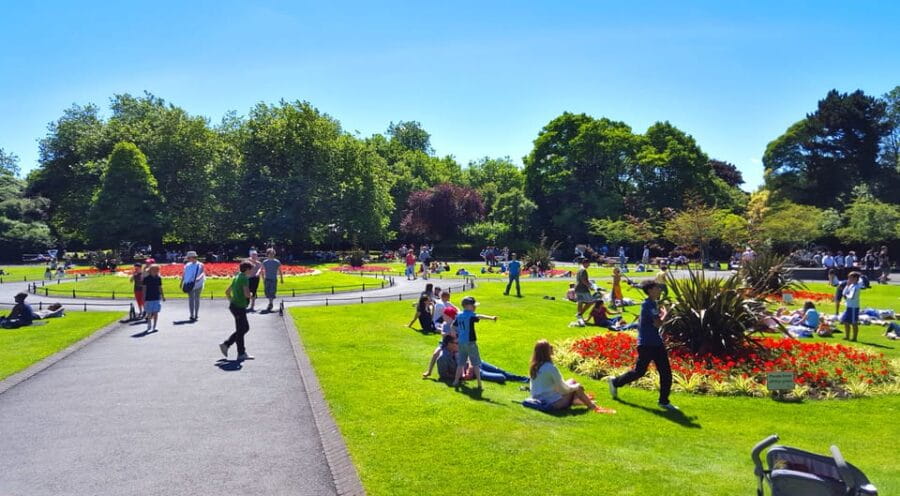 Dublin: Guided Sights and Pints Tour - The Pub and Conversation Experience