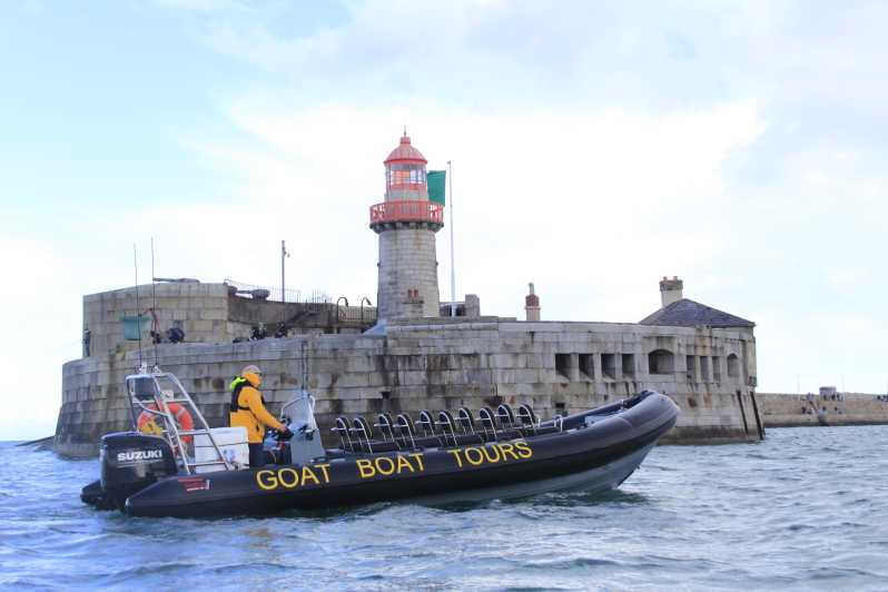 Dublin: History and Wildlife Boat Tour with Live Commentary - Who Is This Tour Best For?