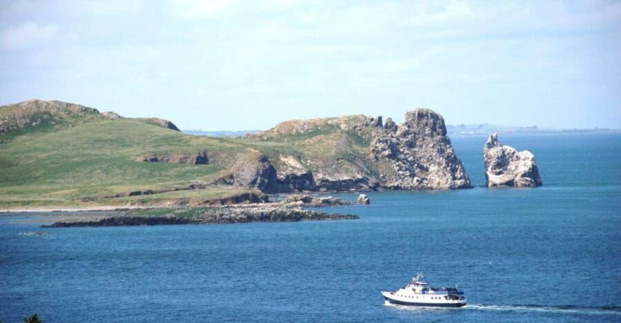 Dublin: Howth Cliffs and Ireland's Eye Boat Cruise - Wildlife & Nature: The Main Attractions