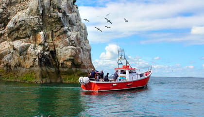 Dublin: Howth Coastal Boat Tour - Exploring the Experience: From Dock to Delight