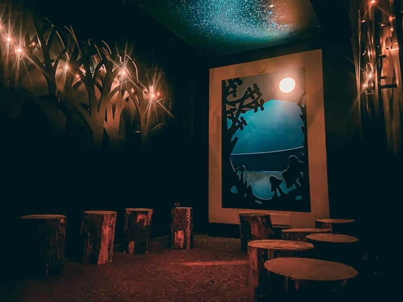 Dublin: Leprechaun Museum, Irish storytelling and Folklore - Discovering the Unique Highlights of the Leprechaun Museum