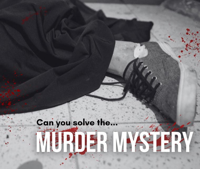 Dublin: Murder Mystery at the National Wax Museum - Why We Like It: Engaging and Different