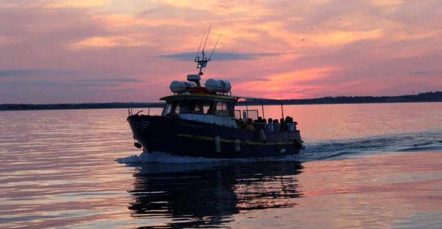 Dublin: Sunset Cruise in Howth - The Route and What Makes It Special