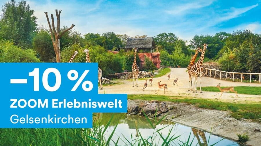 DüsseldorfCard Plus - Easy Travel with a Transparent Price