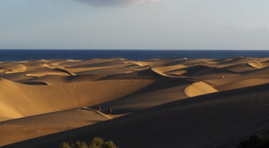 E-Bike City Tour with Camel Safari on Maspalomas Sand Dunes - Discovering the Canary Islands by E-Bike