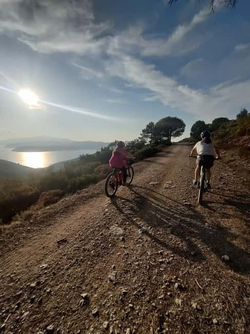 E-Bike Family Tour in the Seagull Coast Nature Reserve - Who This Tour Is Best For