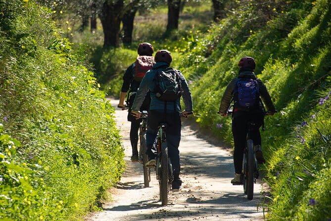 E-Bike Kalamata Olive Routes - Practical Tips for Your Olive Grove E-Bike Tour