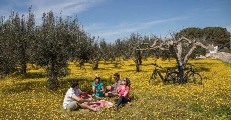e-bike ring tour between Locorotondo and Martina Franca - Discovering Locorotondo’s Charm