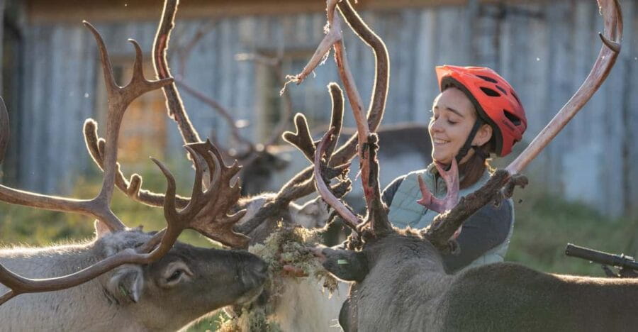 E-FATBIKE TRIP TO THE REINDEER FARM - Exploring the Lapland Landscape by E-Fatbike