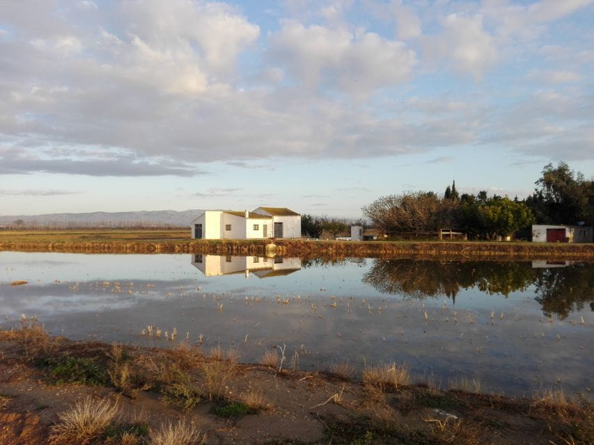 Ebro Delta: Northern Delta Guided Tour with a Local - Who this tour is perfect for