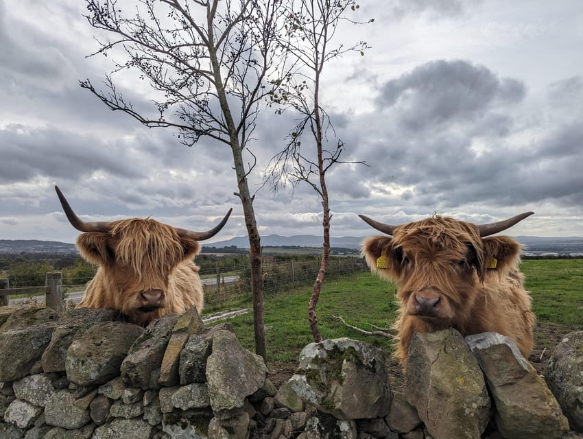 Edinburgh: Harry Potter, Glenfinnan Viaduct & Highland Tour - Logistics and Value for Money