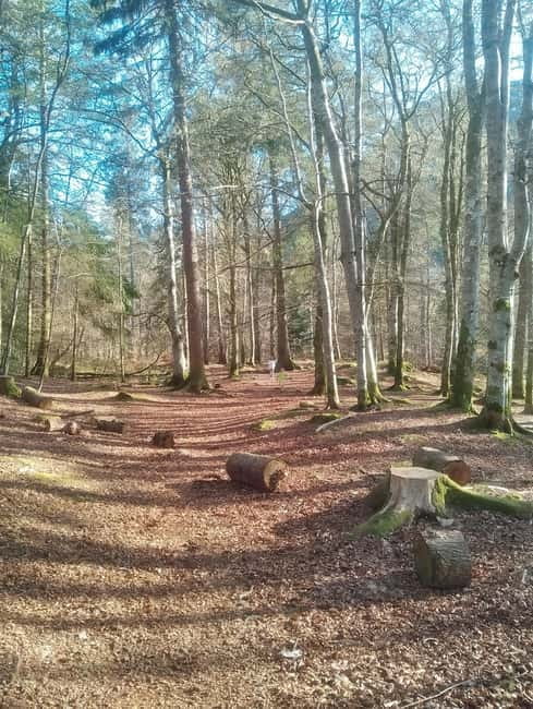 Edinburgh: Private Harry Potter Tour with Hogwarts Express - Riding the Hogwarts Express and the Glenfinnan Viaduct