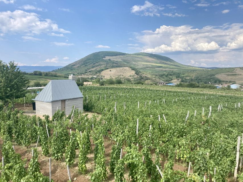 Eger: Countryside, Culture, and Wine Private Tour - Walking Through Eger’s Historic Center