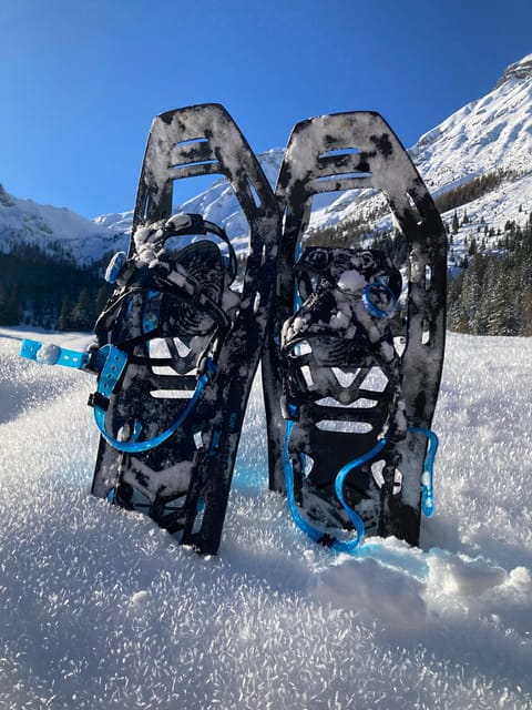 Ehrwald: Zugspitze Snowshoe Hiking Tour with Mountain Views - Starting Point and Logistics: Ease and Accessibility