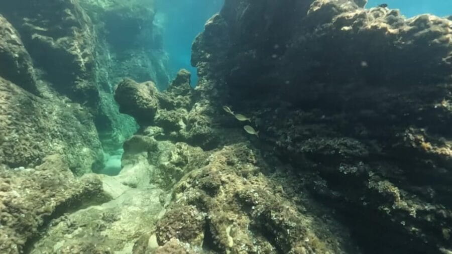 Elafiti: Caves, Beaches, Ancient places, Fun in 5h trip - Final Thoughts: Who Should Consider This Tour?