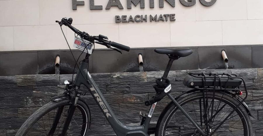 Electric City Bike Rental with Hotel Delivery - Who Should Consider This?