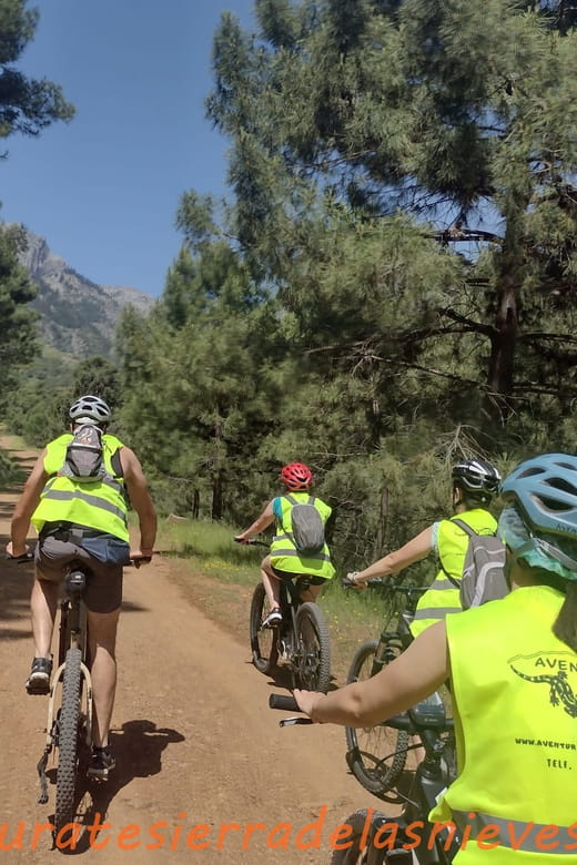 Electric mountain bike in Sierra de las Nieves national park - Discovering the Charm of Tolox and Sierra de las Nieves