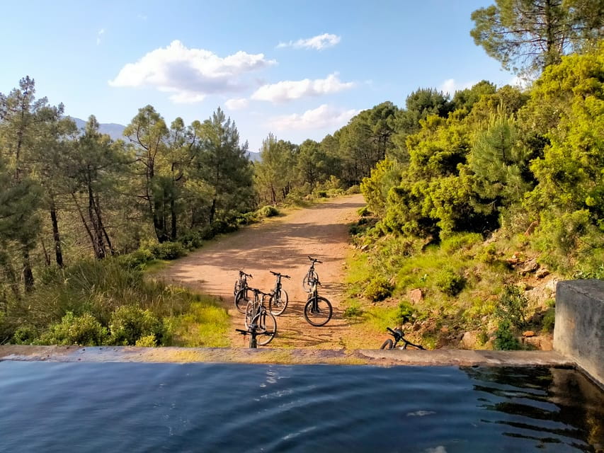 Electric mountain bike in Sierra de las Nieves national park - Price, Logistics, and Practical Tips