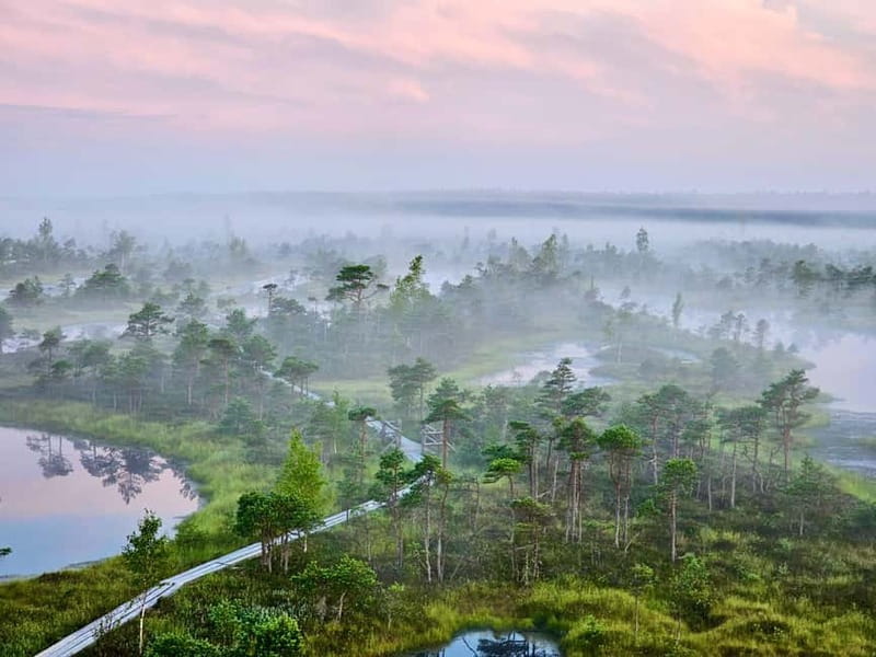 emeri Great Bog With Optional Sunrise & Jrmala Visit - The Guide and the Improv Travel Approach