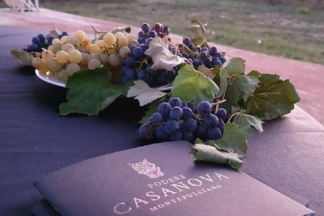 Enjoy a Wine Tasting after a cycling excursion in the magic of Tuscany - Who Will Love This Tour?