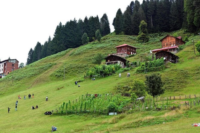 Enjoy Black Sea Boutique Tour - The Unique Appeal of This Tour