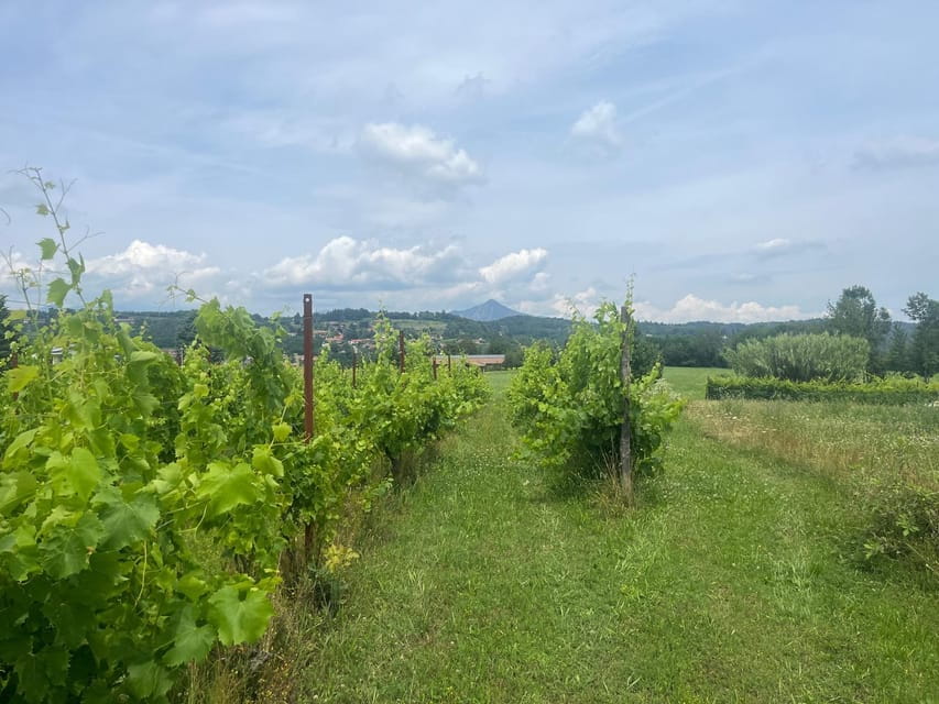 Eno-Gastronomic Tour: from the Royal Palace of Venaria Reale to the Susa/Sangone Valley - The Charm of the Prever Winery: Women-Led and Authentic