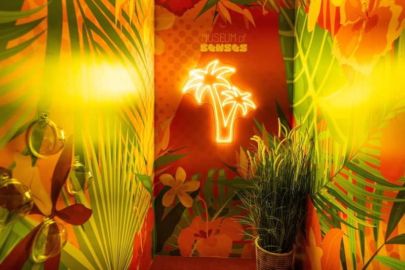 Entry ticket to the Museum of Senses in Milan - Entering a World of Sensory Play