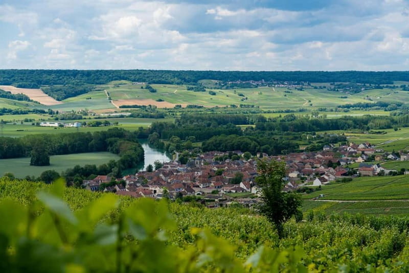 Epernay: Shuttle to a botanical outing - Discovering the Flavors and Flora of Epernay’s Countryside