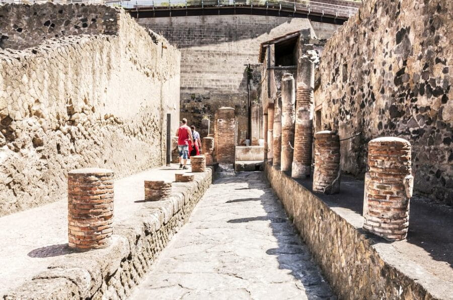 Ercolano: Herculaneum Entry Ticket with Optional Audio Guide - Navigating the Entrance and Ticketing
