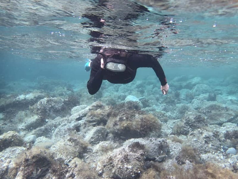 Es Grau:Private Snorkeling Experience with Picnic and Drinks - Snorkeling at Es Grau: Underwater Marvels
