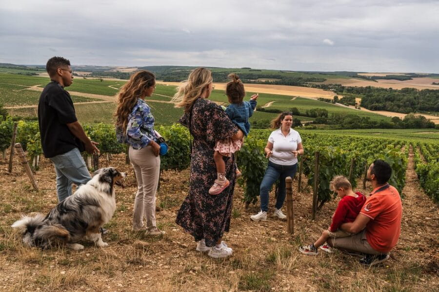 Escapade and tasting in the Chablis vineyards - Entering the Vineyards: A Scenic Ride and Educational Stops