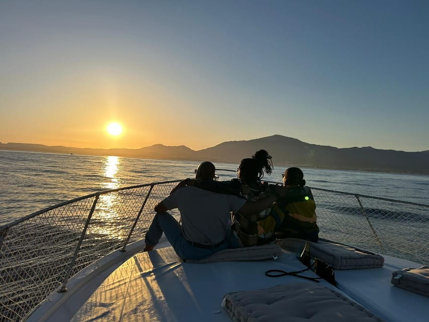 Estepona: Dolphin Searching Sunset Cruise with Drink & Snack - Price and Logistics: Value for Money
