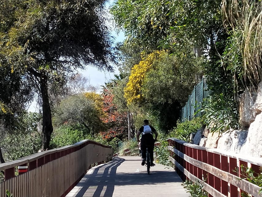 Estepona Walking Tour - City History, Culture & Gastronomy - Exploring Estepona’s Heart: The Itinerary Breakdown