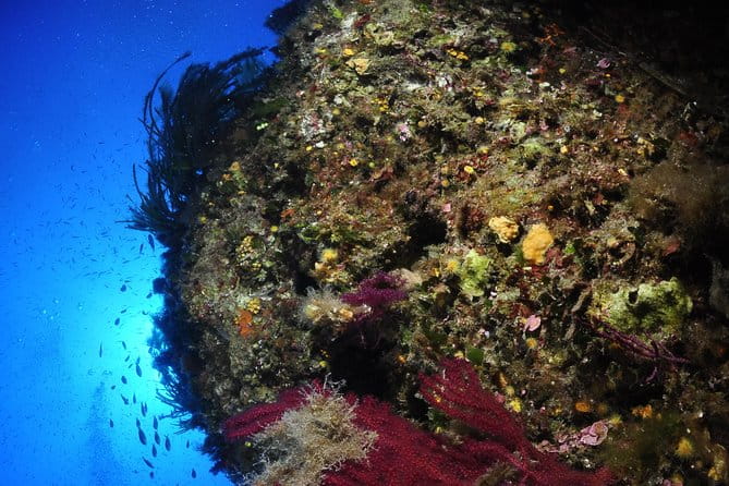 Etna & Diving Jeep Tour - Who Is This Tour Best For?