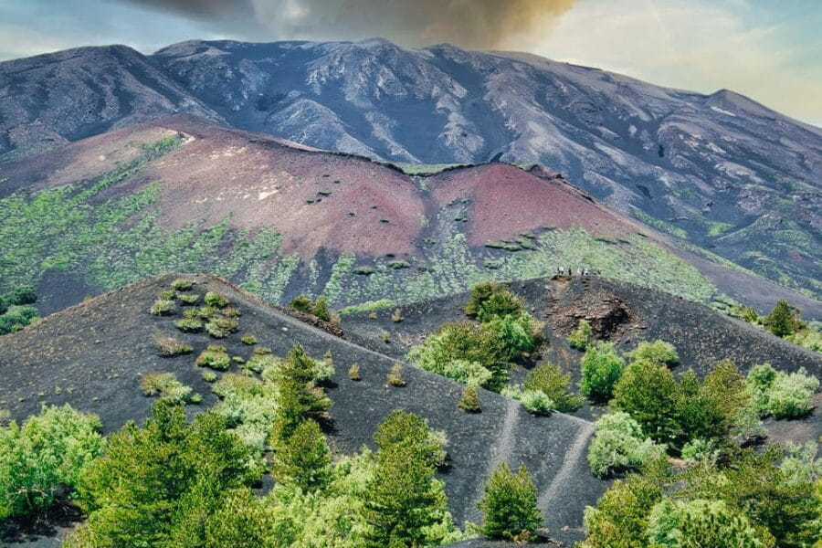 Etna Monti Sartorius, Ancient wine cellar Slow Food tasting - Practical Considerations: Logistics, Cost, and Suitability