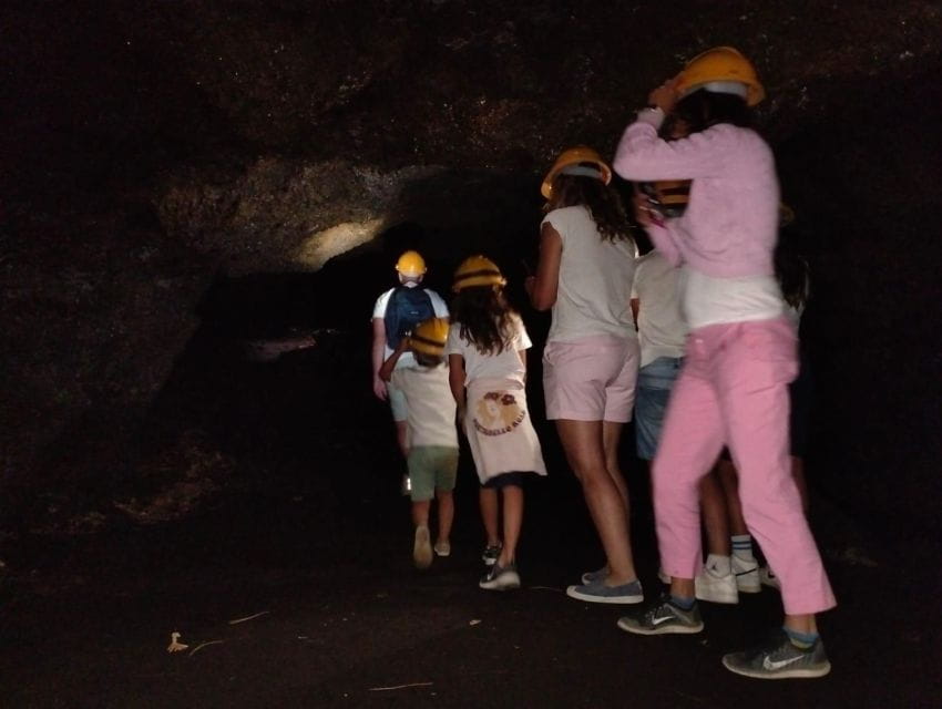 Etna Morning Tour: an adventurous journey to discover Etna. - Transportation, Timing, and Group Size