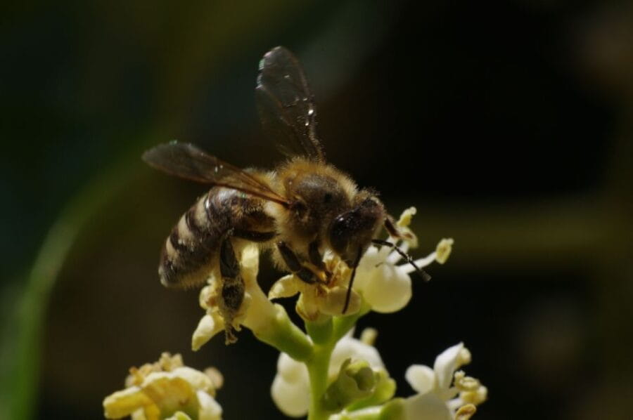 Etna Private Sunset Tour with Prosecco - Price and Value: Is It Worth It?