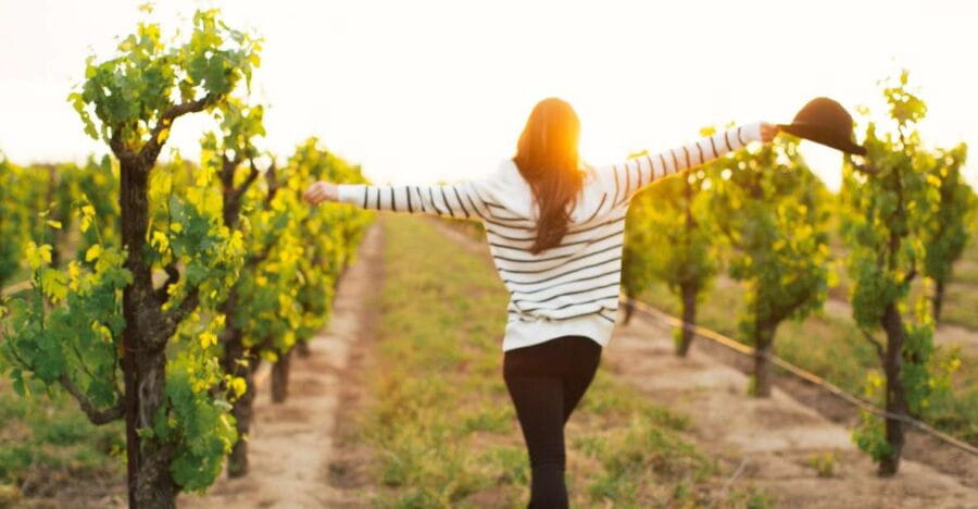 Etna Quad & Wine Combo Private Tour - Who This Tour Is Perfect For