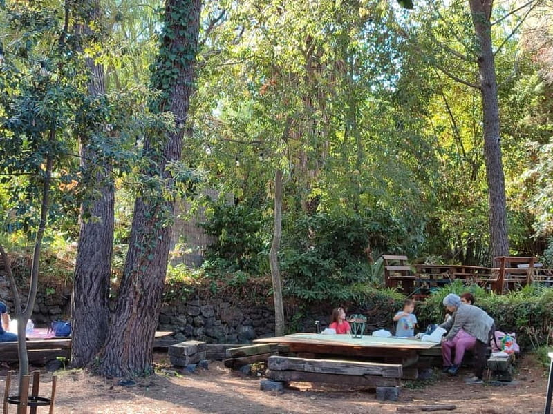 Etna & Sea: Pic Nic in Batia - The Food: Simple, Authentic, and Delicious