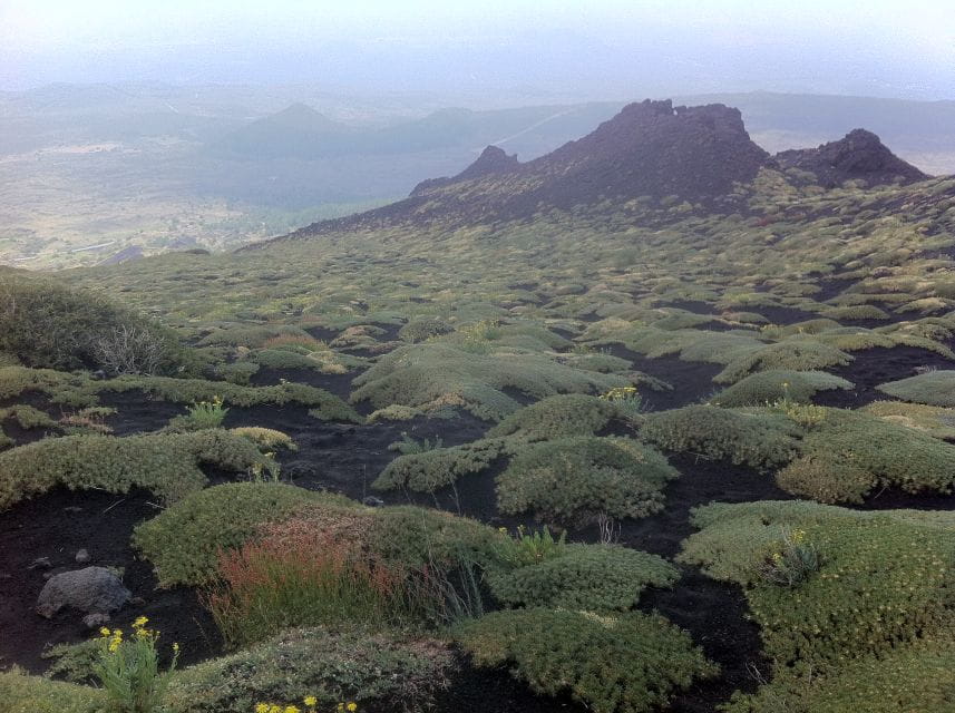 Etna: Sunset Tour on the Volcano - Who should consider this tour?