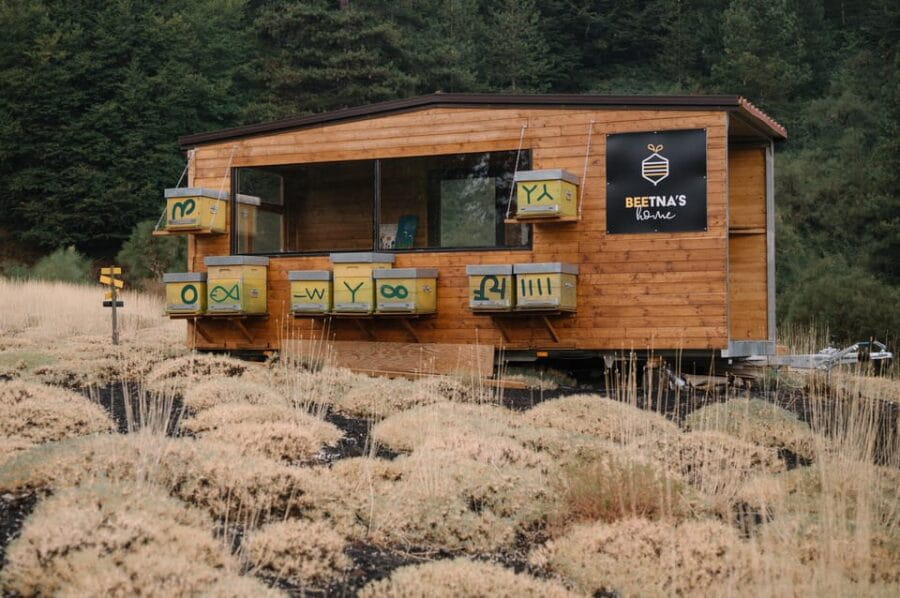 Etna: The magic World of Bees Tour - The Logistics and Value