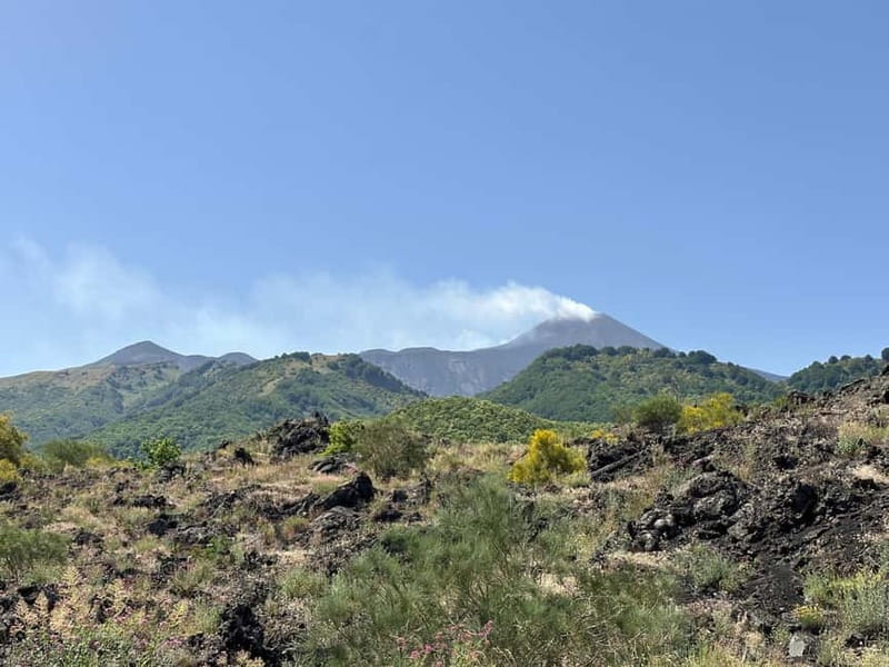 Etna Tour - HalfDay Small Group & licensed Tour Guide - Who Will Enjoy This Tour Most?