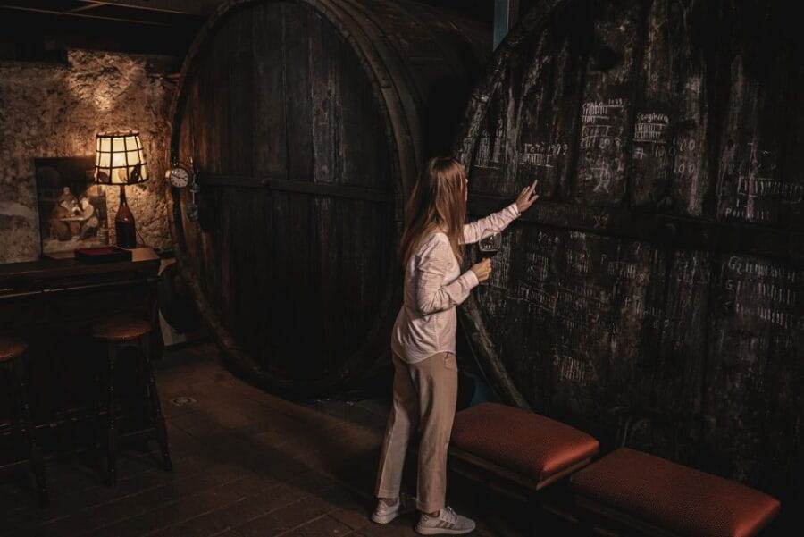 Etna: Urban Winery, Vineyards Walk & Wine Tasting at Sunset - Exploring the Experience: A Detailed Look