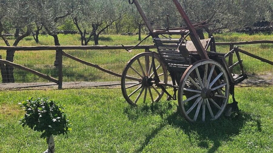 ETNA VILLAGES: OIL & RICOTTA TASTING with Lunch - Entering Sicily’s Charming Villages