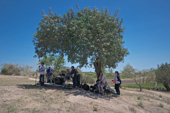 Etna Wine & Food Volcanic Week Grand Tour (Private) - Who Will Love This Tour?