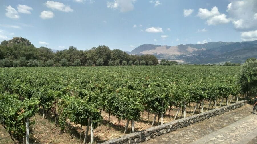 Etna: Wine Tasting and Food Tour - Exploring the Itinerary in Detail