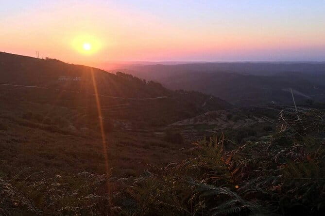 Evening 4x4 Tour of Monchique Hills with Dinner - Who This Tour Suits Best