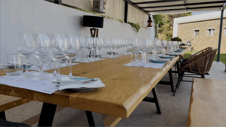 Evening of Wine and Scenic Views in Skiathos - The Itinerary: What to Expect from Start to Finish