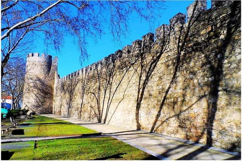 Evora Ancient City & The Alentejo Private Luxury Wine Tour - The Flexibility of a Private Tour