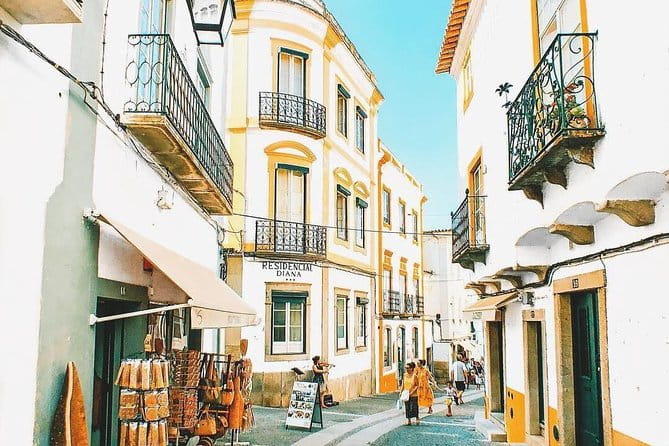 Évora - Full day Private Guided tour from Lisbon by minivan - Who Will Love This Tour?